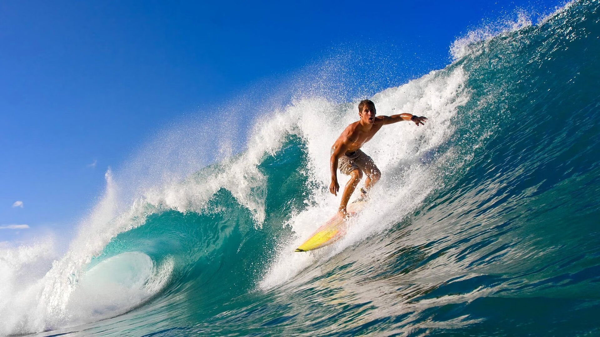 体育新闻中心深度评论上线,2021年体育新闻评论