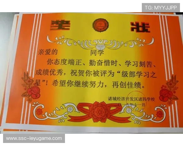 体操技术细节决定高分与否的分水岭